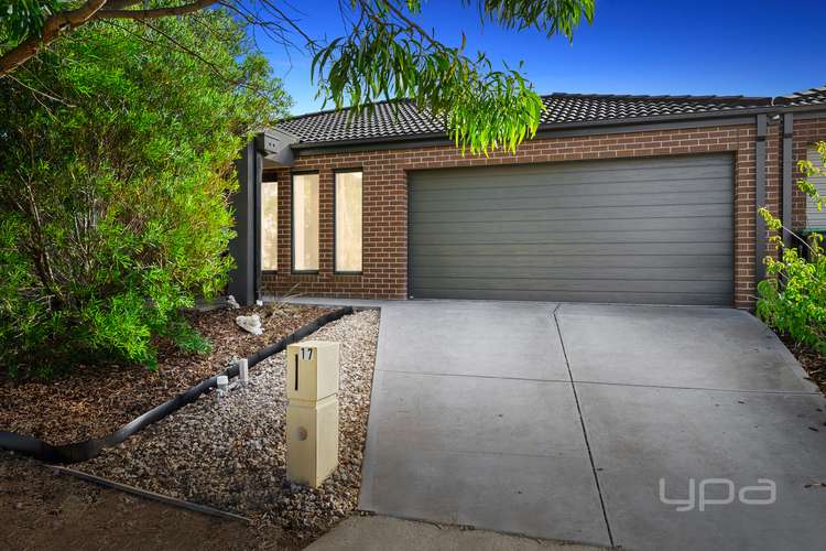 Main view of Homely house listing, 17 Lores Drive, Brookfield VIC 3338