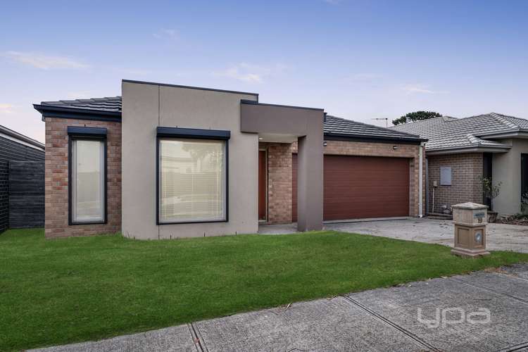 19 Bellini Drive, Greenvale VIC 3059