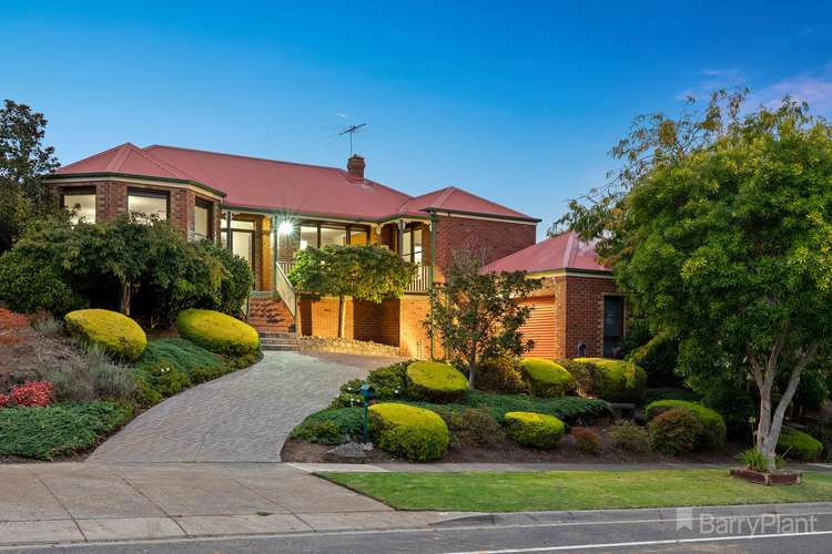 41 Telford Drive, Berwick VIC 3806