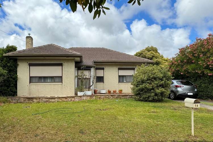 Main view of Homely house listing, 16 Celtic Avenue, Clovelly Park SA 5042