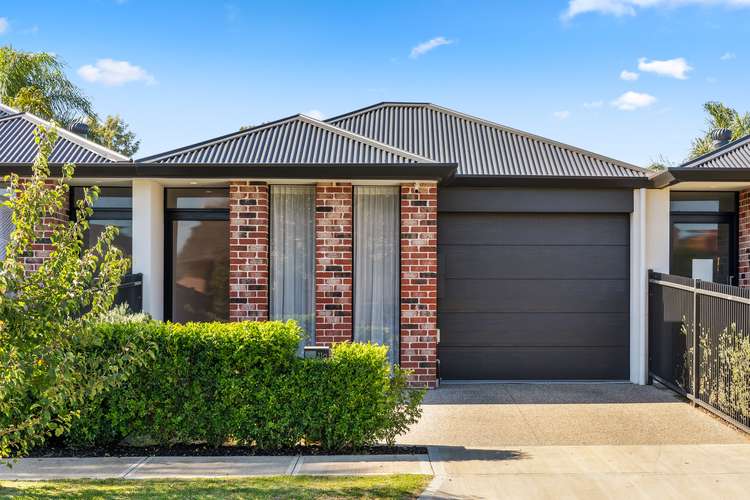 11A Barker Avenue, South Plympton SA 5038