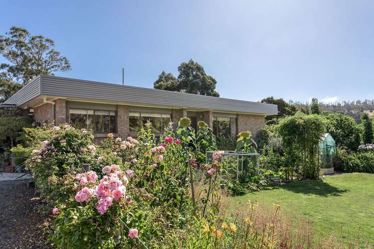 Main view of Homely house listing, 19 Jacques Road, Hillwood TAS 7252