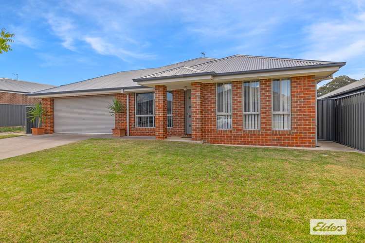 Main view of Homely house listing, 17 Lankester Court, Thurgoona NSW 2640