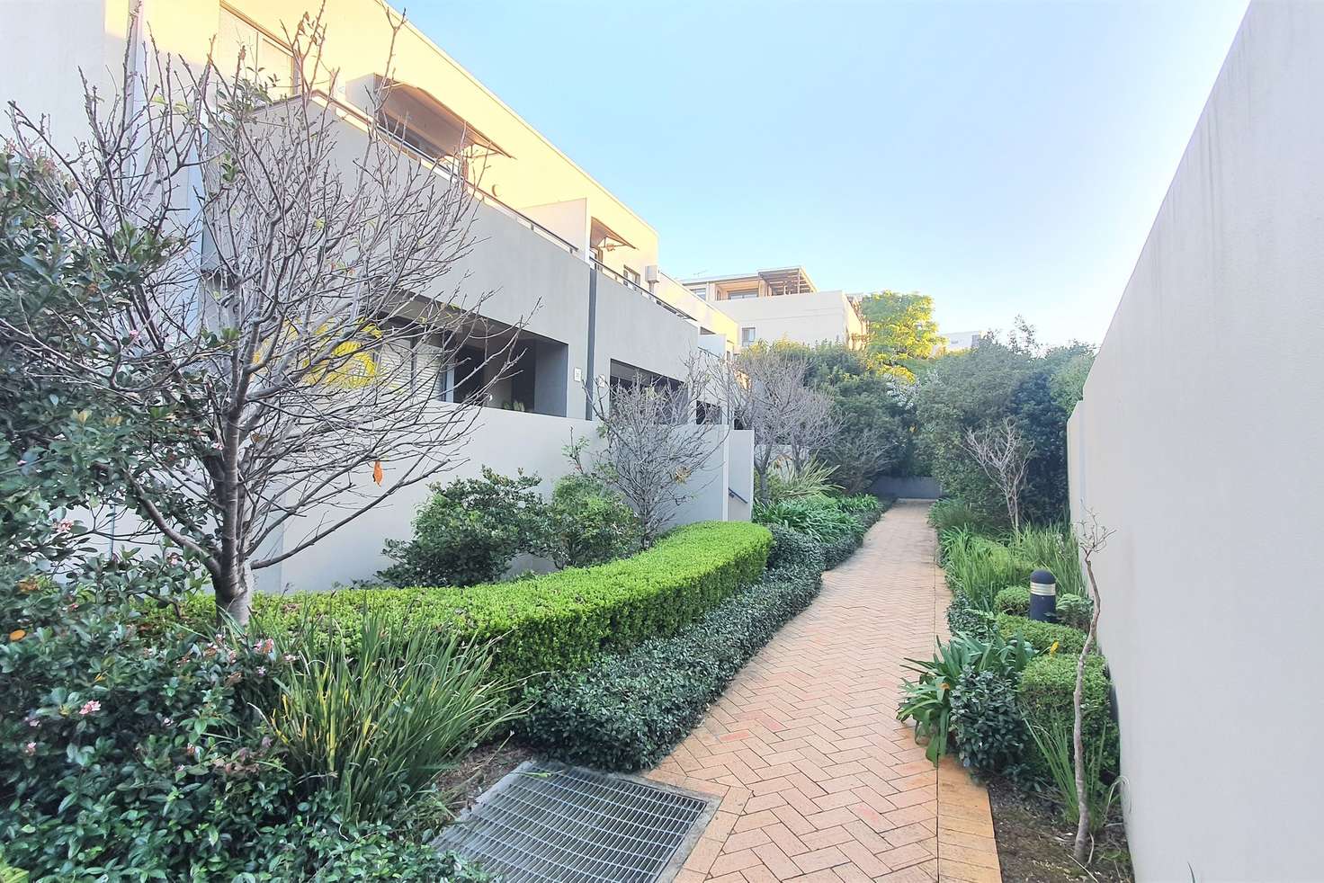Main view of Homely townhouse listing, 17/15 Begonia Street, Pagewood NSW 2035