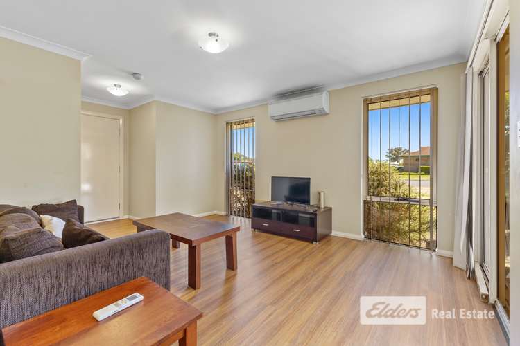 Main view of Homely unit listing, 3/112 Atkinson Street, Collie WA 6225
