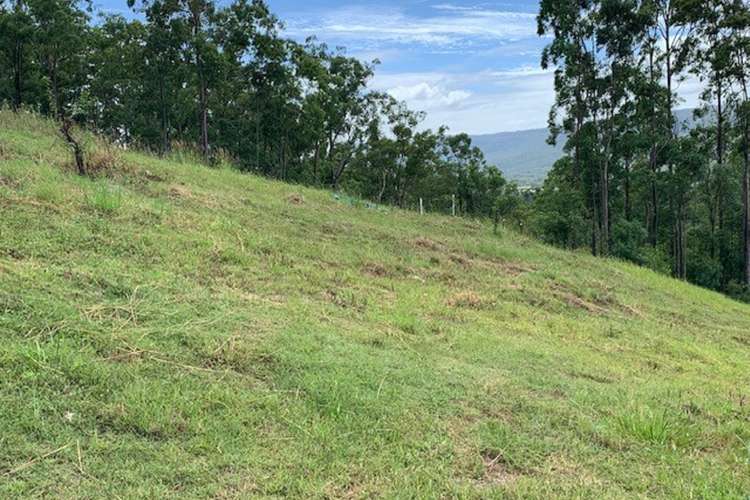 Main view of Homely residentialLand listing, LOT 36, 41 Regal Drive, Canungra QLD 4275