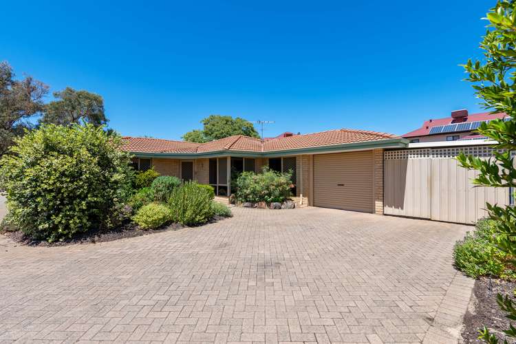 Main view of Homely unit listing, 3/8 Grayson Court, Wilson WA 6107