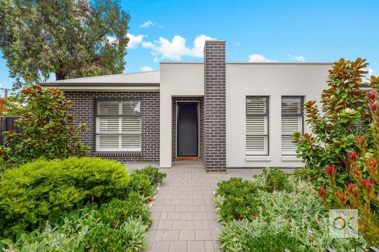 22 Langdon Avenue, Clarence Park SA 5034