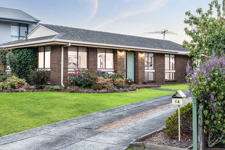 Main view of Homely house listing, 14 Amoore Avenue, Highton VIC 3216