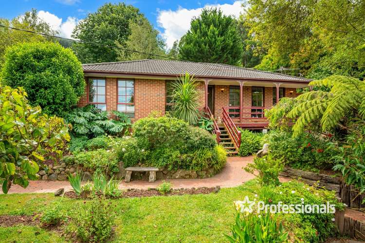 Main view of Homely house listing, 93 Wonga Road, Millgrove VIC 3799