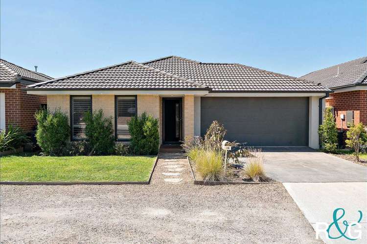 Main view of Homely house listing, 14 Alexandro Grove, Hastings VIC 3915