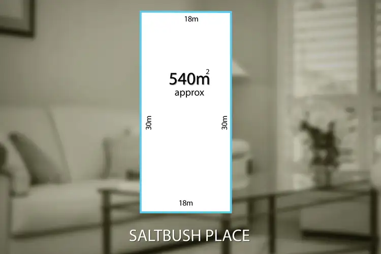 4 Saltbush Place
