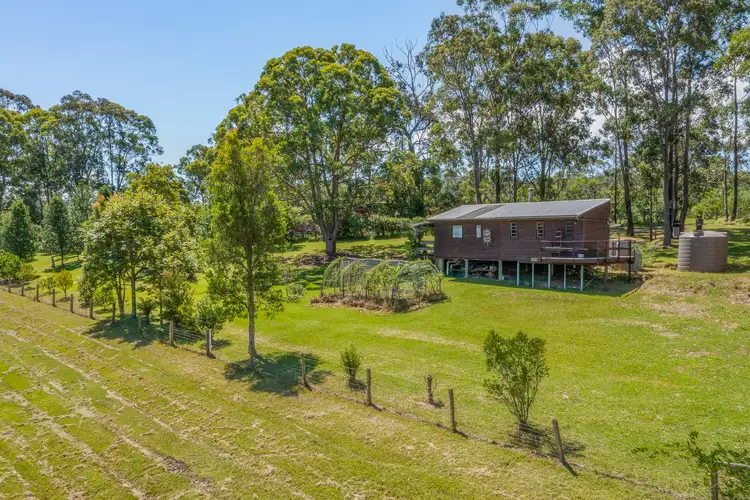 Main view of Homely rural property listing, 249 Wangat Trig Road, Dungog NSW 2420