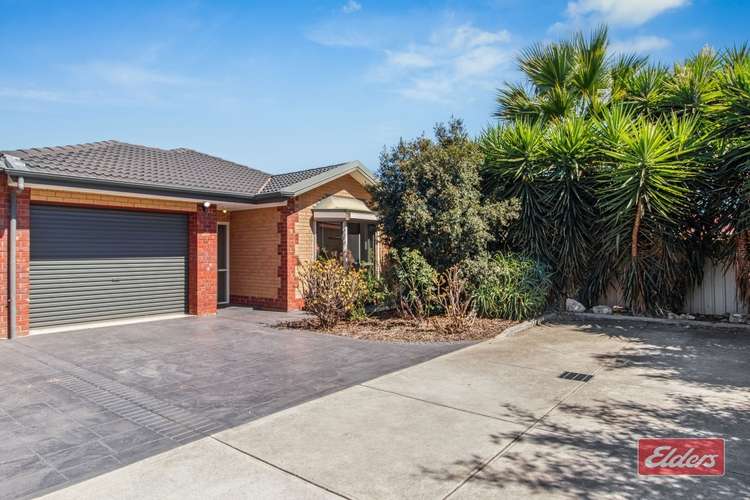 Main view of Homely house listing, 33A Brown Street, Willaston SA 5118