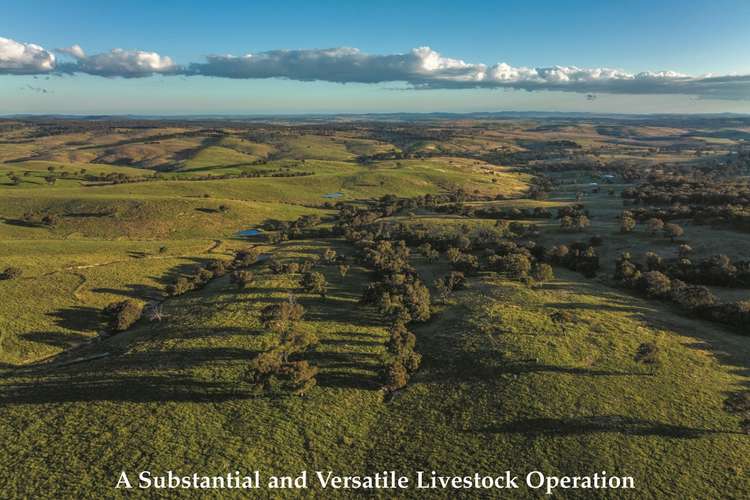 Third view of Homely livestock listing, 1994 Range Road, Mummel NSW 2580