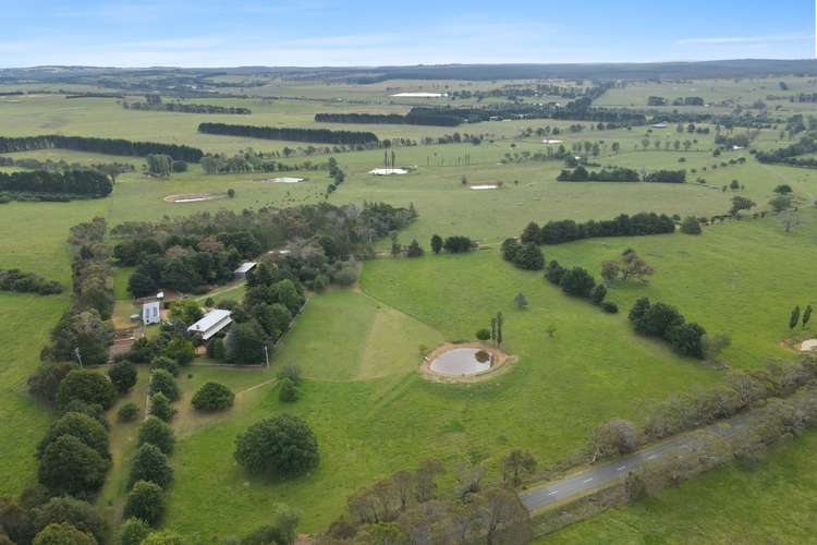 Main view of Homely livestock listing, 399 Golden Vale Road, Sutton Forest NSW 2577