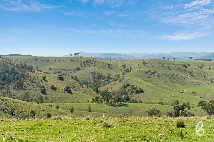 Fifth view of Homely rural property listing, 1468 Westbrook Road, Singleton NSW 2330