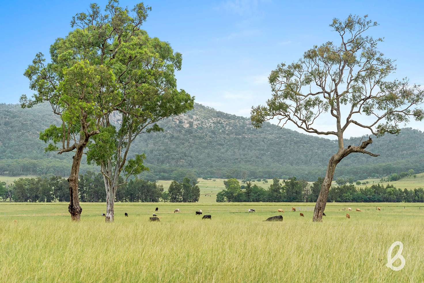 Main view of Homely ruralOther listing, 1030 Martindale Road, Martindale NSW 2328