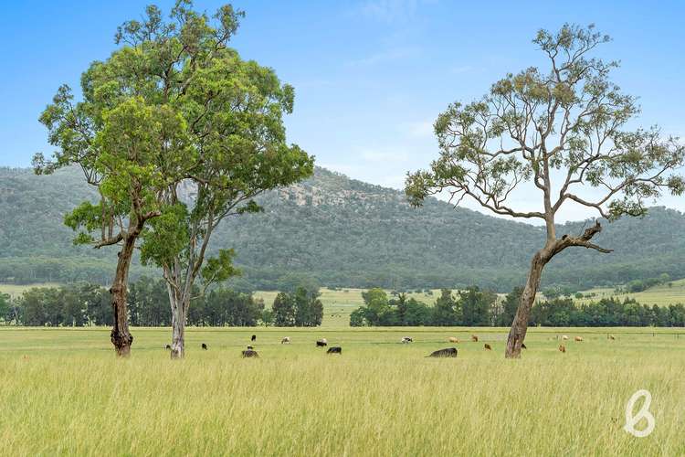 1030 Martindale Road, Martindale NSW 2328