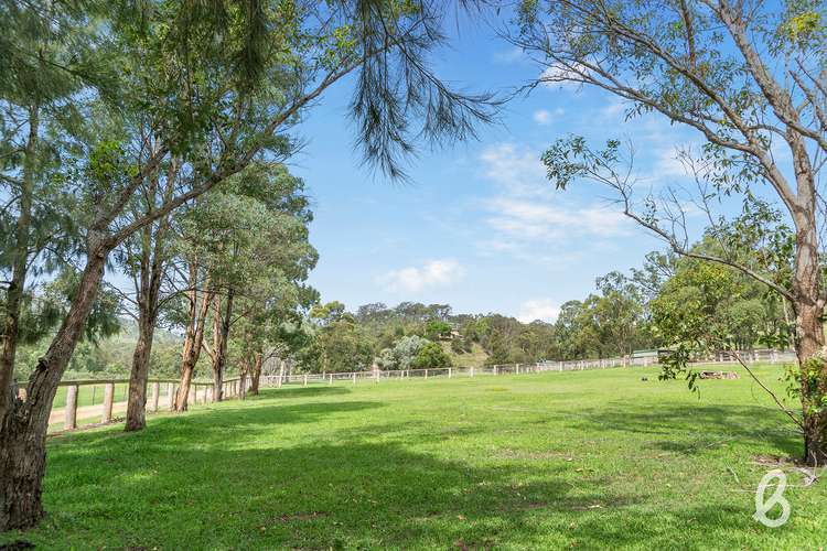 Third view of Homely ruralOther listing, 41 Miller Road, Singleton NSW 2330