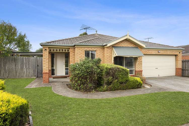 Main view of Homely house listing, 8 Daly Boulevard, Highton VIC 3216