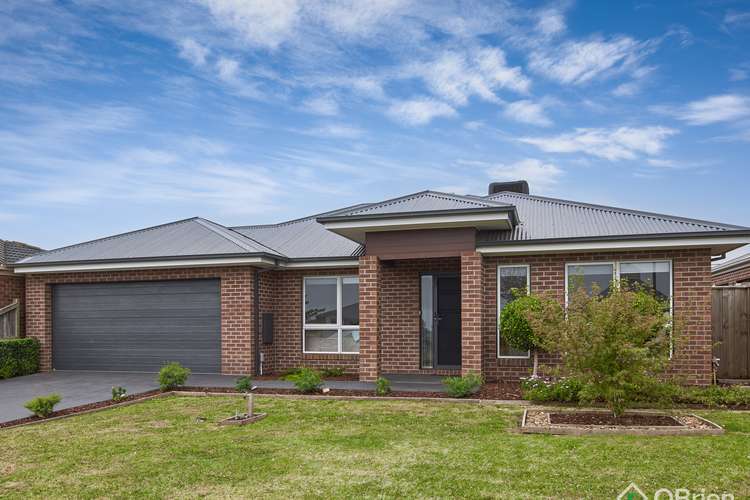 Main view of Homely house listing, 31 Lyndhurst Square, Drouin VIC 3818