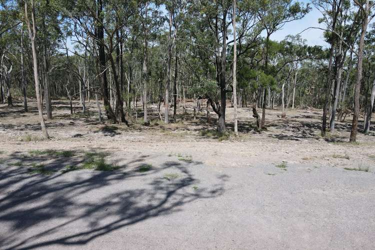 Lot 31/448 East Seaham Road, East Seaham NSW 2324