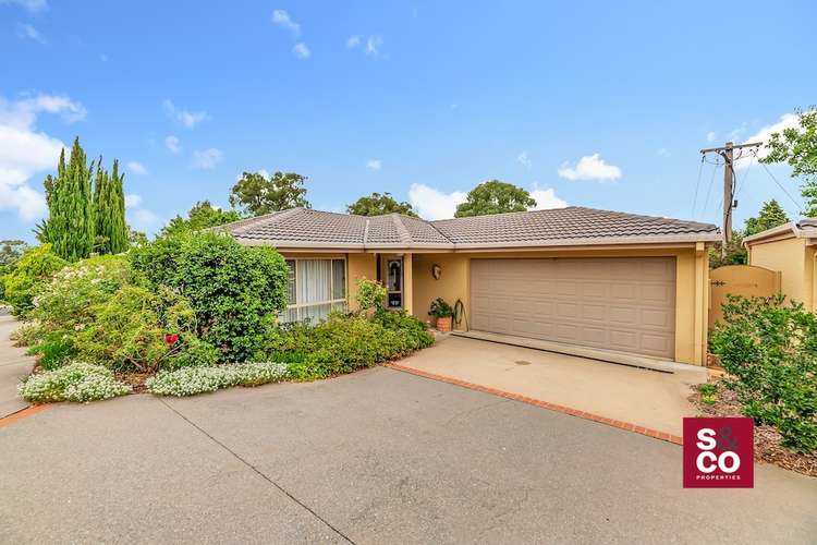 Main view of Homely townhouse listing, 1/19 Carandini Street, Melba ACT 2615