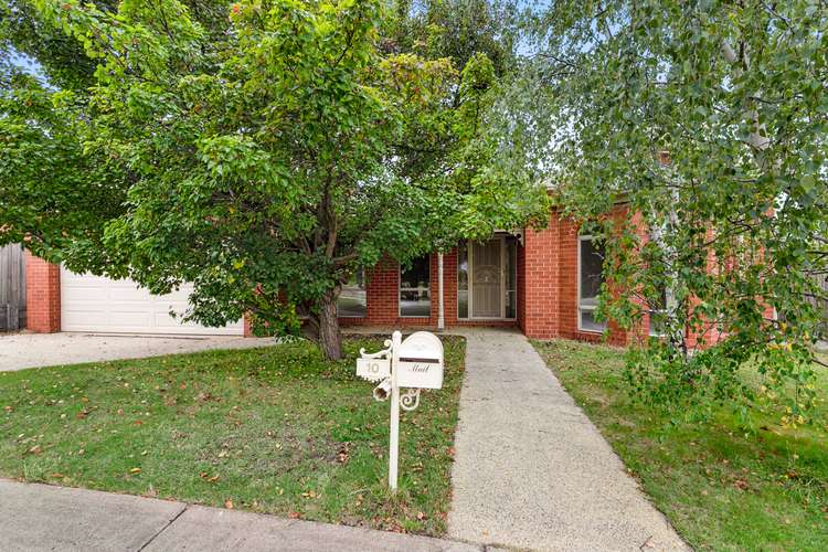 Main view of Homely house listing, 10 Daly Boulevard, Highton VIC 3216