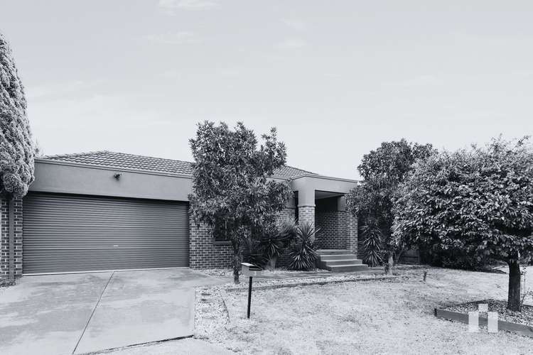 3 Wiregrass Court, South Morang VIC 3752