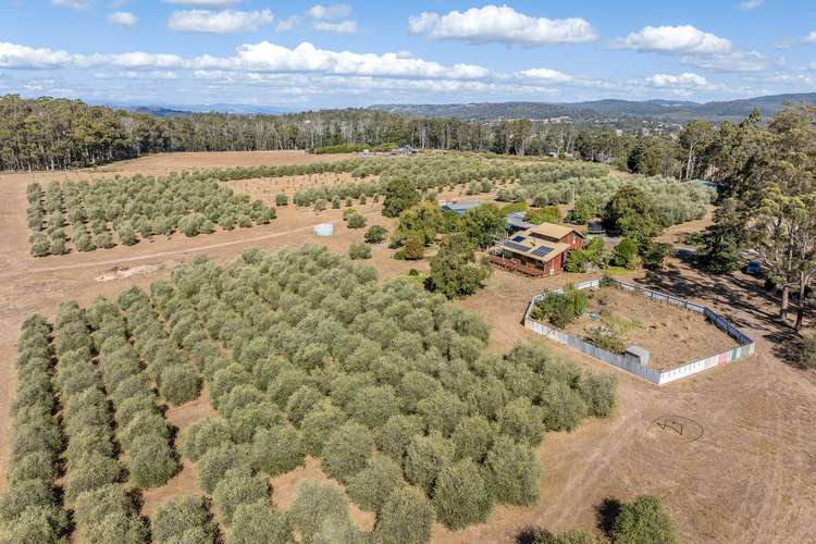 Main view of Homely house listing, 2670 West Tamar Highway, Exeter TAS 7275