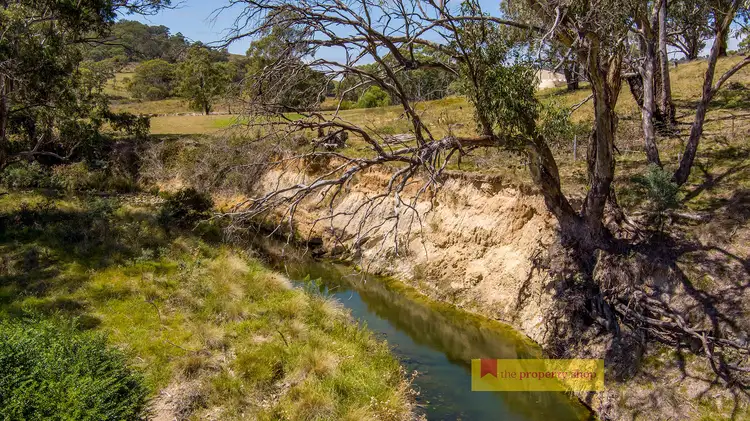 Third view of Homely rural property listing, 1074 Campbells Creek Road, Mudgee NSW 2850
