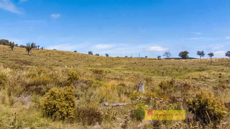 Fifth view of Homely rural property listing, 1074 Campbells Creek Road, Mudgee NSW 2850