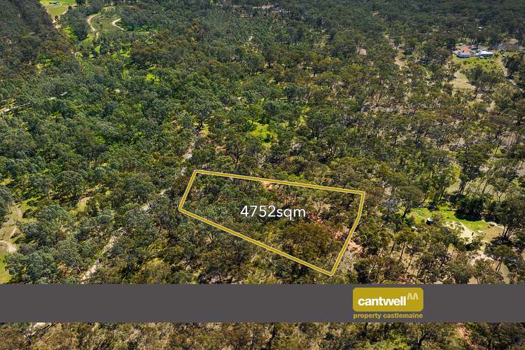 Main view of Homely ruralOther listing, CA 1, 2, 3 Plonks Gully Track, Redcastle VIC 3523