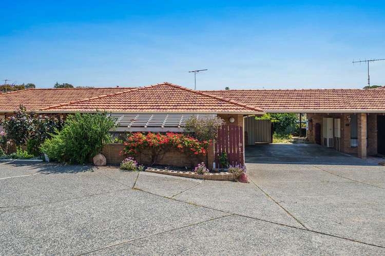 Main view of Homely villa listing, 29/17 Syree Court, Marmion WA 6020