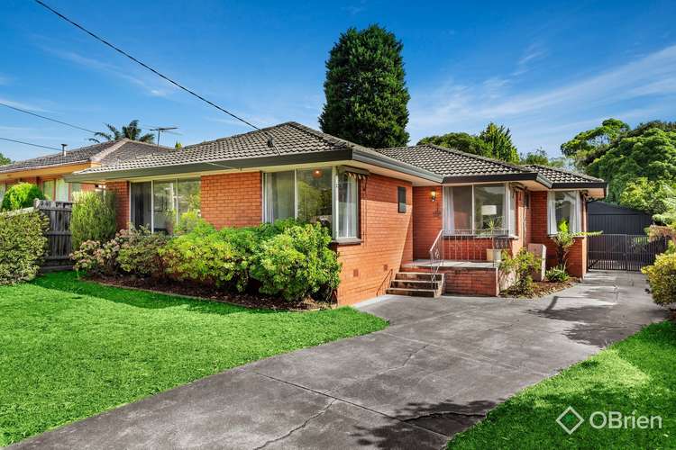 Main view of Homely house listing, 17 Toomey Street, Vermont VIC 3133