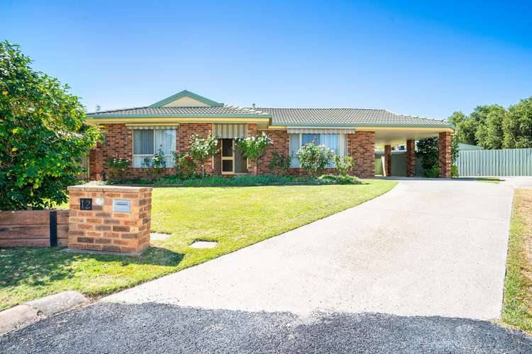 Main view of Homely house listing, 12 Cedar Court, Thurgoona NSW 2640