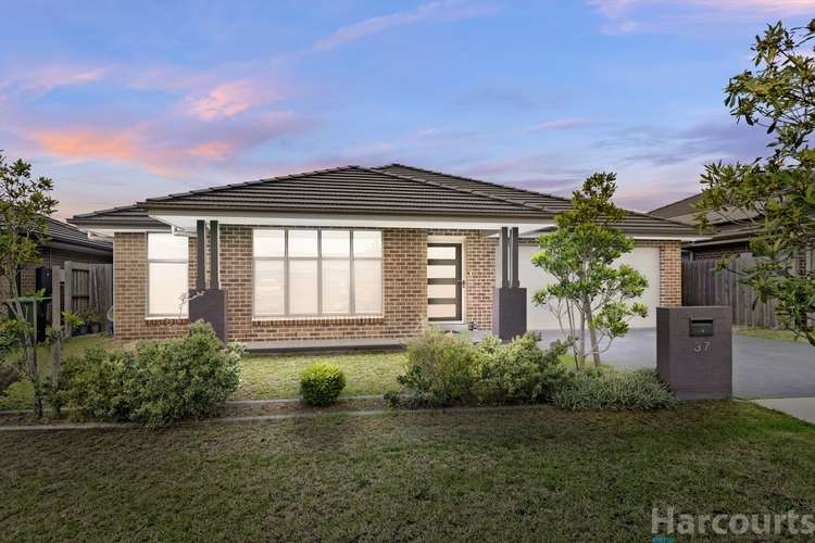 Main view of Homely house listing, 37 Mayo Crescent, Chisholm NSW 2322