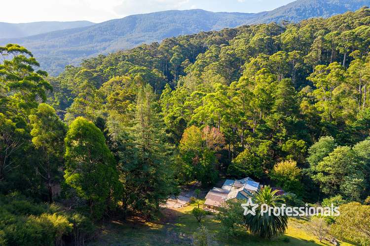Main view of Homely house listing, 110 Scotchmans Creek Road, Warburton VIC 3799