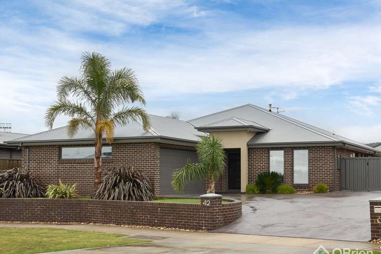 Main view of Homely house listing, 42 Collingwood Drive, Trafalgar VIC 3824