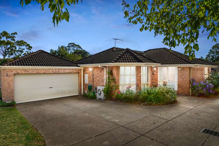 Main view of Homely unit listing, 1/3 Langley Street, Ringwood East VIC 3135