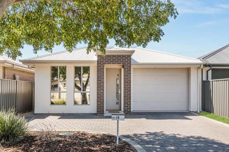 Main view of Homely house listing, 19 Cairns Avenue, Warradale SA 5046