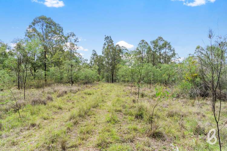 Main view of Homely ruralOther listing, Site 8 Glendonbrook Road & Blind Creek Road, Singleton NSW 2330