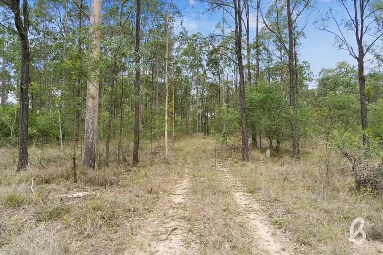 Fifth view of Homely rural property listing, Site 6 Glendonbrook Road, Singleton NSW 2330