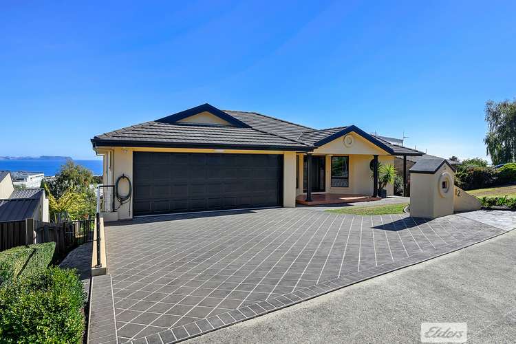 Main view of Homely house listing, 12 Kalina Crescent, Park Grove TAS 7320