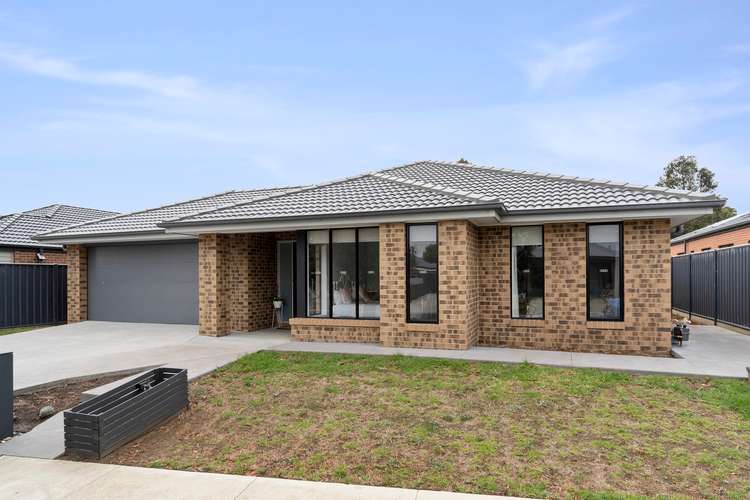 Main view of Homely house listing, 16 Beattie Court, Colac VIC 3250