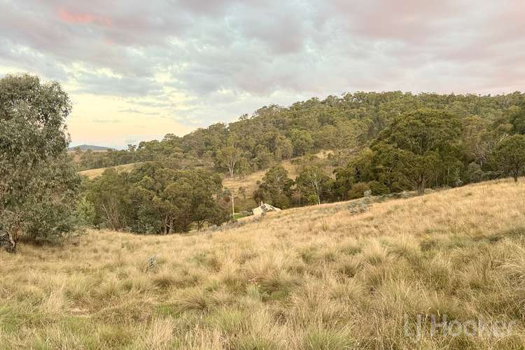 Main view of Homely acreageSemiRural listing, 1166 Urila Road, Tinderry NSW 2620