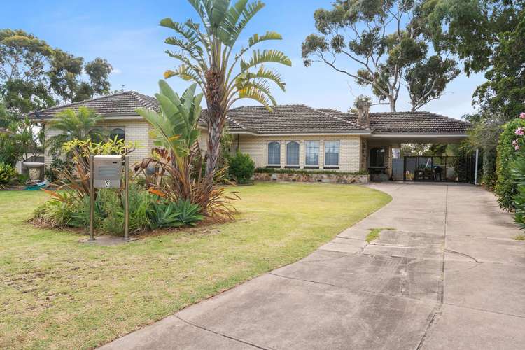 Main view of Homely house listing, 3 Neville Court, Oaklands Park SA 5046
