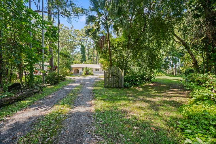 Main view of Homely acreageSemiRural listing, 537 Pacific Highway, Boambee NSW 2450