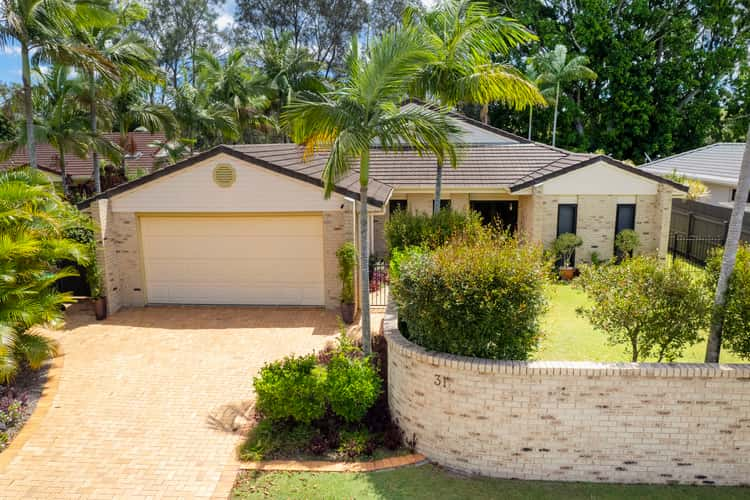 Main view of Homely house listing, 31 Hazeltine Court, Maroochydore QLD 4558